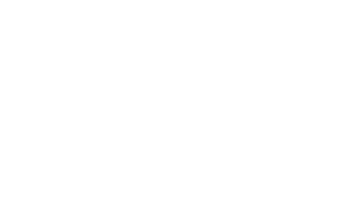 Alu