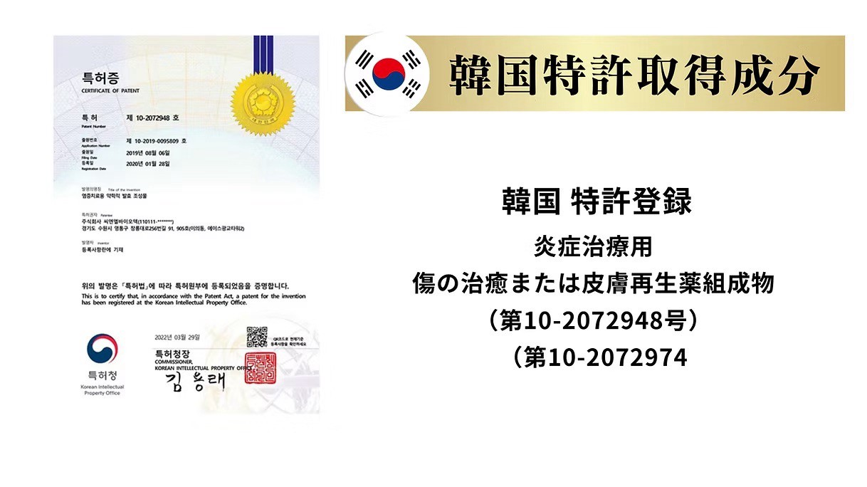 韓国特許取得成分の説明